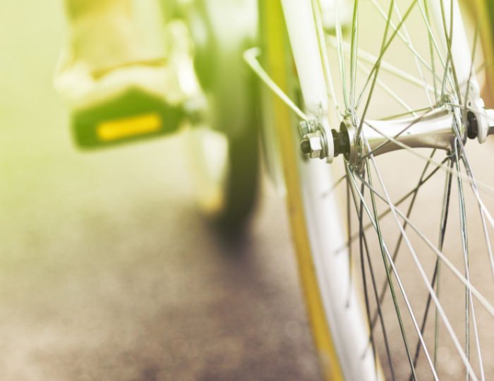 Прокат спортинвентаря - Эко-отель «Лепота»