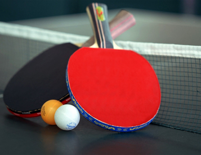 Настольный теннис - Эко-отель «Лепота»